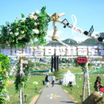 白烨林咖啡馆,品味时光，邂逅城市温馨角落